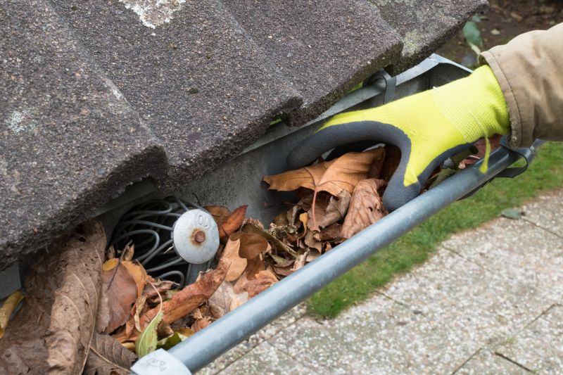 Gutter Cleaning Service